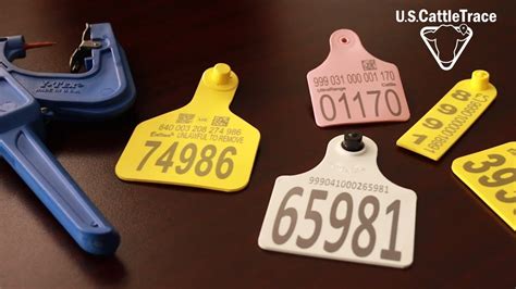 rfid tags for cattle|rfid tags for cattle usda.